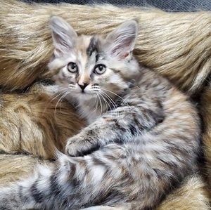 Meet your Posher, Ericka